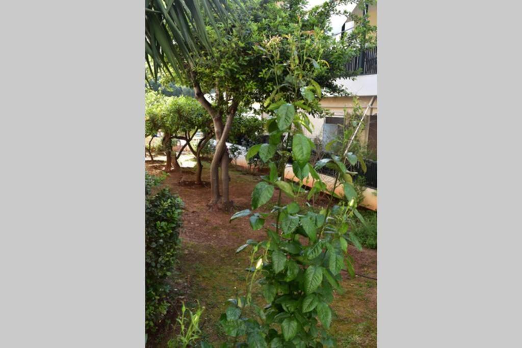 Tropicana Athens Luaran gambar